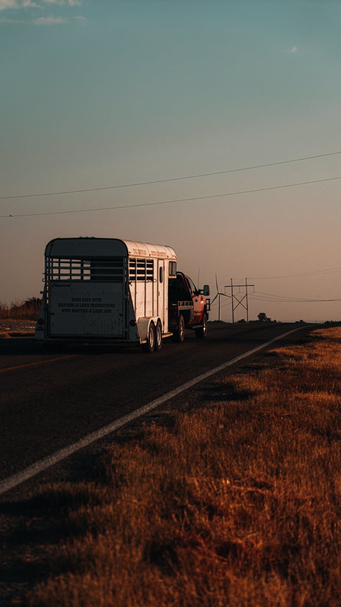 A Car With A Horse Trailer On The Road 18139877